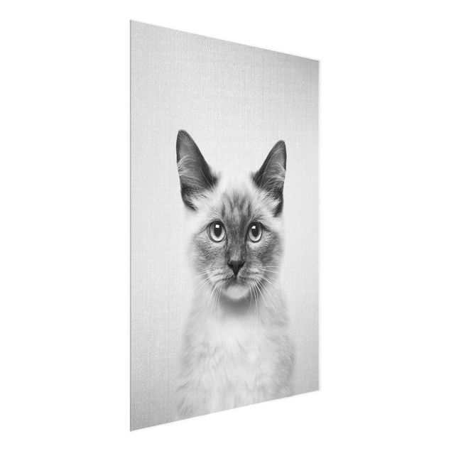 Wandbilder Katzen Siamkatze Sibylle Schwarz Weiß