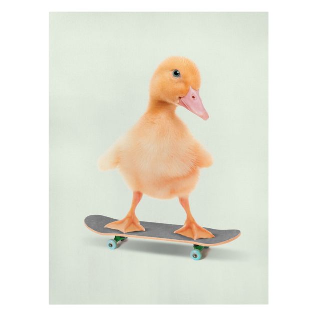 Leinwandbild Vögel Skate Ente