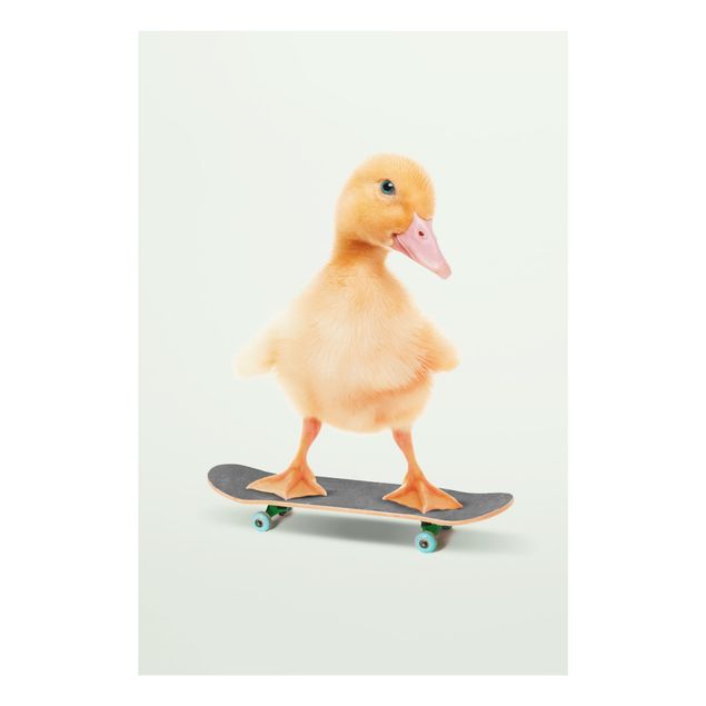 Wanddeko über Bett Skate Ente