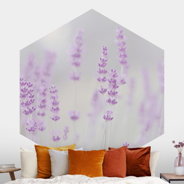 Wanddeko Schlafzimmer Sommer im Lavendelfeld