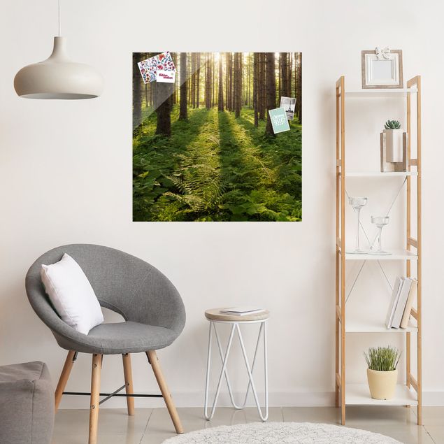 Wanddeko Schlafzimmer Sonnenstrahlen im Grünen Wald