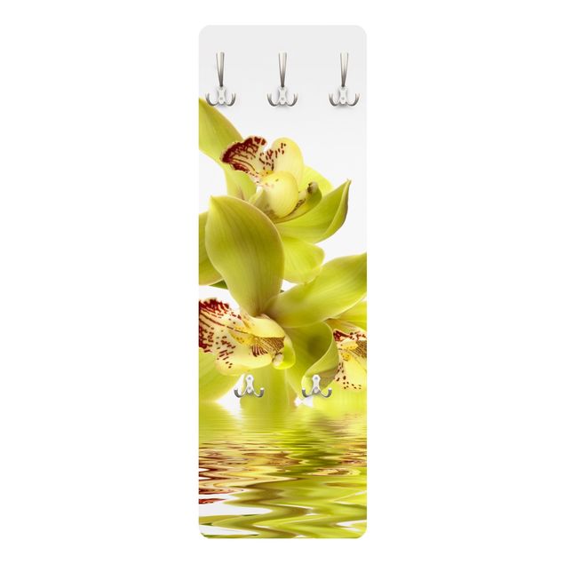 Wanddeko grün Splendid Orchid Waters