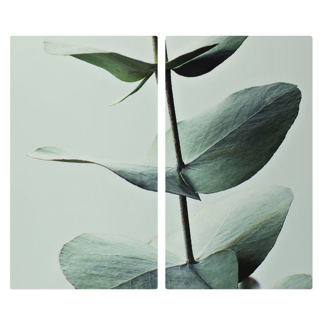 Deko Fotografie Symmetrischer Eukalyptuszweig
