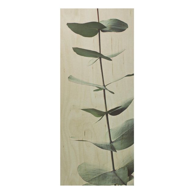 Wanddeko Flur Symmetrischer Eukalyptuszweig