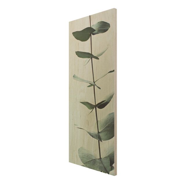Wanddeko Esszimmer Symmetrischer Eukalyptuszweig