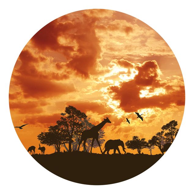 Fototapete Giraffe Tanzania Sunset