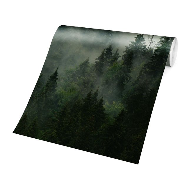 Wanddeko grün Tiefgrüner Tannenwald im Nebel