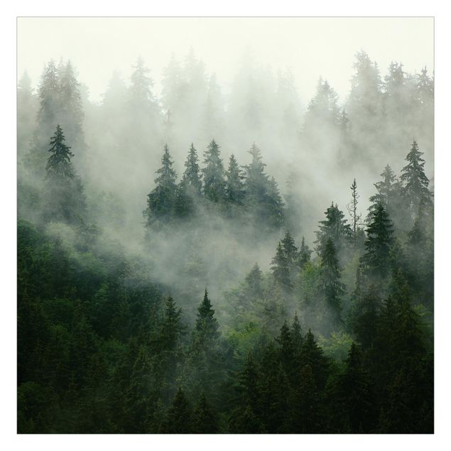 Wanddeko Büro Tiefgrüner Tannenwald im Nebel