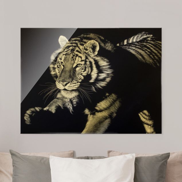 Wanddeko Flur Tiger im Sonnenlicht vor Schwarz