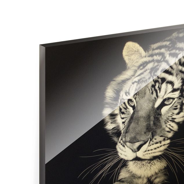 Wandbilder Tiger Tiger im Sonnenlicht vor Schwarz