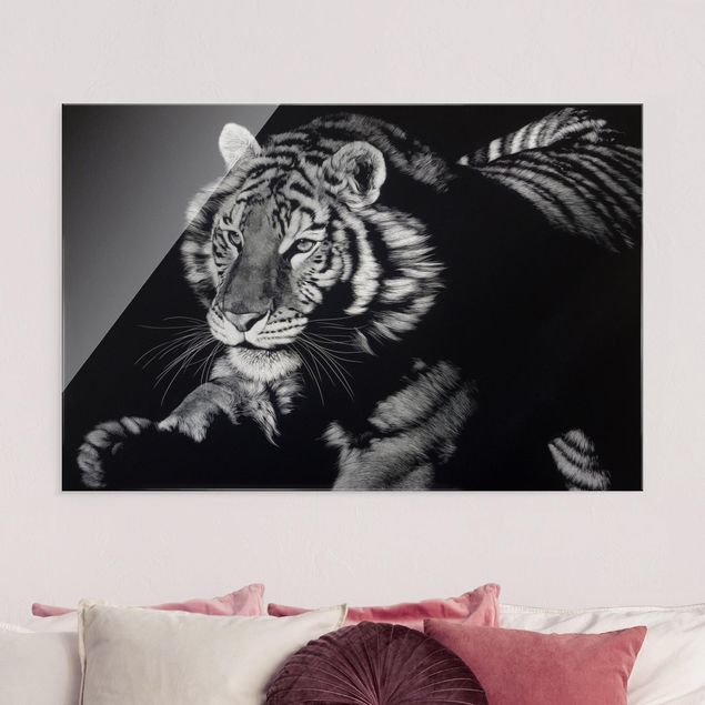 Wanddeko Schlafzimmer Tiger im Sonnenlicht vor Schwarz