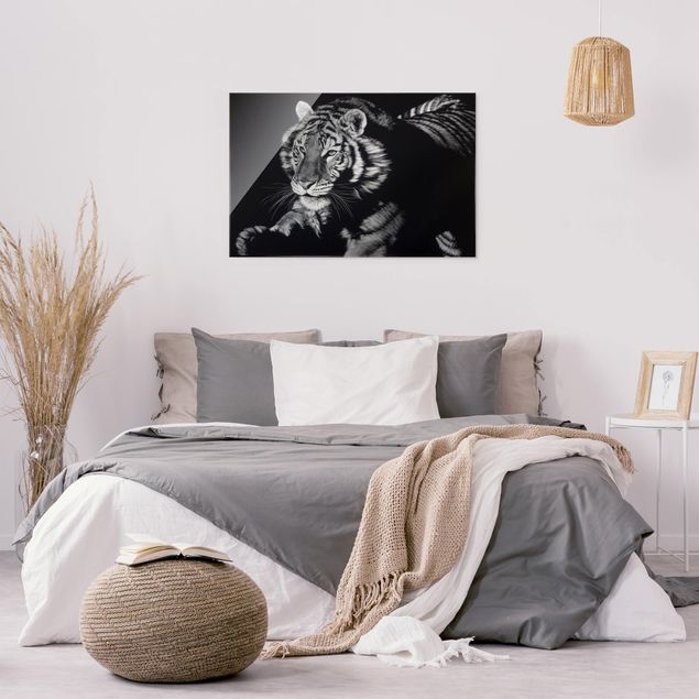 Wanddeko Esszimmer Tiger im Sonnenlicht vor Schwarz
