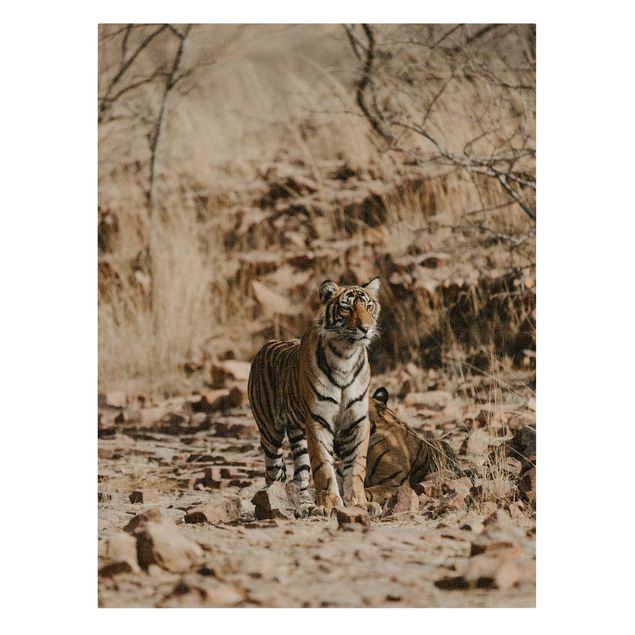 Leinwandbilder Tiger Tiger in der Wildnis