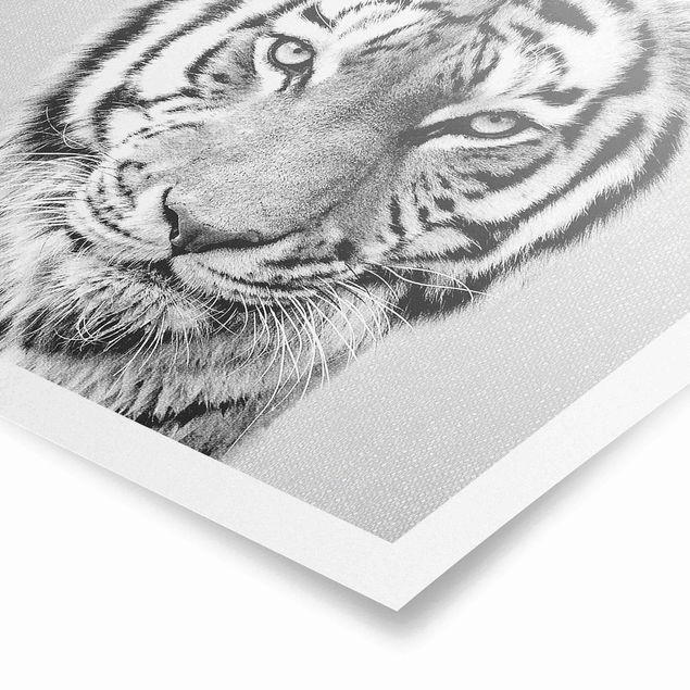 Wanddeko über Sofa Tiger Tiago Schwarz Weiß