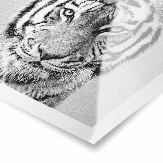 Wanddeko über Bett Tiger Tiago Schwarz Weiß