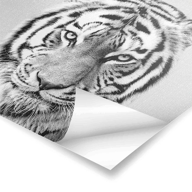 Wanddeko schwarz-weiß Tiger Tiago Schwarz Weiß