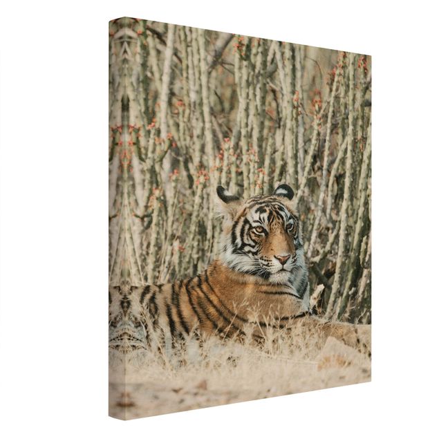 Wandbilder Tiger Tiger vor Kakteen