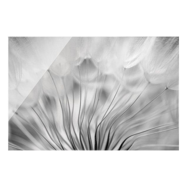 Wanddeko Büro Traumhafte Pusteblume Schwarz-Weiß