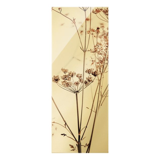 Wanddeko Esszimmer Trockenblume im Lichtspiel