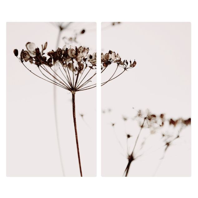 Wanddeko Fotografie Trockenblume im Schatten