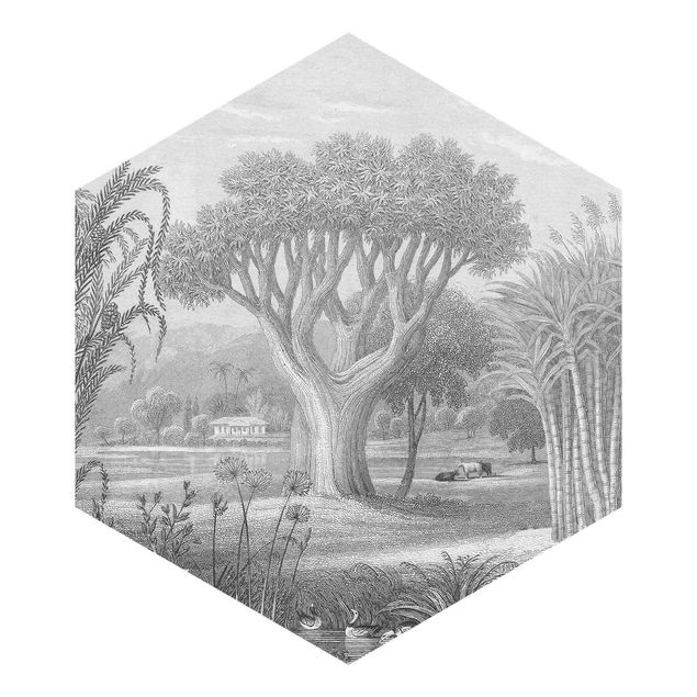 Wanddeko Pflanzen Tropischer Kupferstich Garten mit Teich in Grau