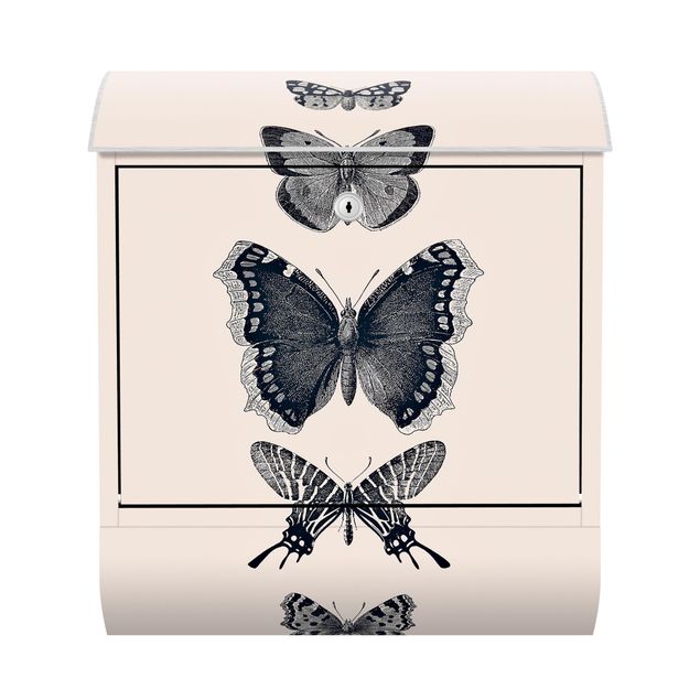 Deko Illustration Tusche Schmetterlinge auf Beige