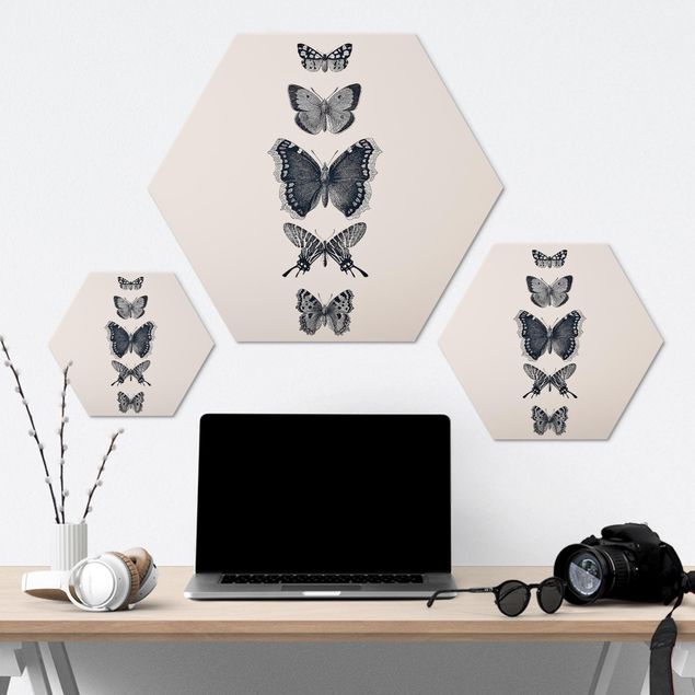 Wanddeko über Sofa Tusche Schmetterlinge auf Beige