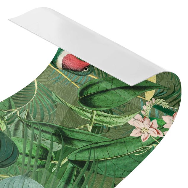 Wanddeko Tropisch Vintage Collage - Kakadu und Kolibri