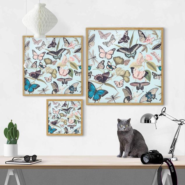 Wandbilder Schmetterlinge Vintage Collage - Schmetterlinge und Libellen