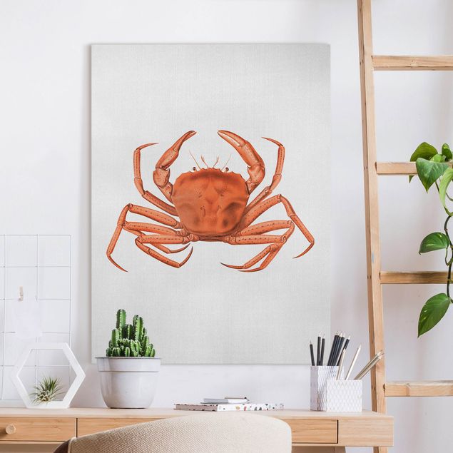 Leinwand Fisch Vintage Illustration Rote Krabbe