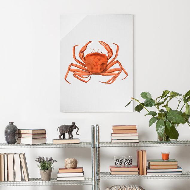 Wanddeko Schlafzimmer Vintage Illustration Rote Krabbe