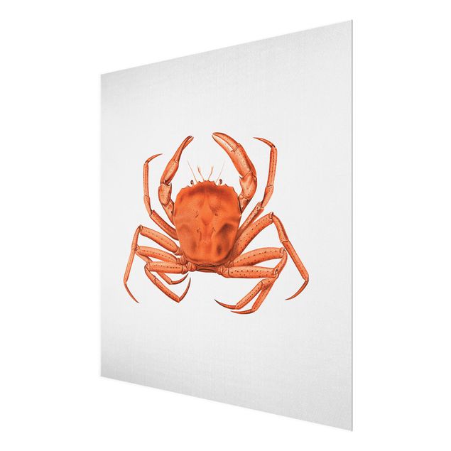 Wanddeko rot Vintage Illustration Rote Krabbe