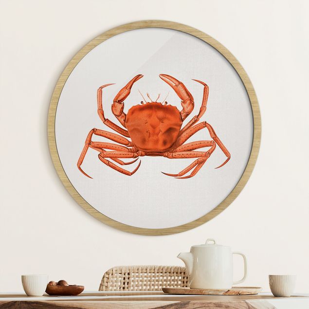 Strandbilder mit Rahmen Vintage Illustration Rote Krabbe