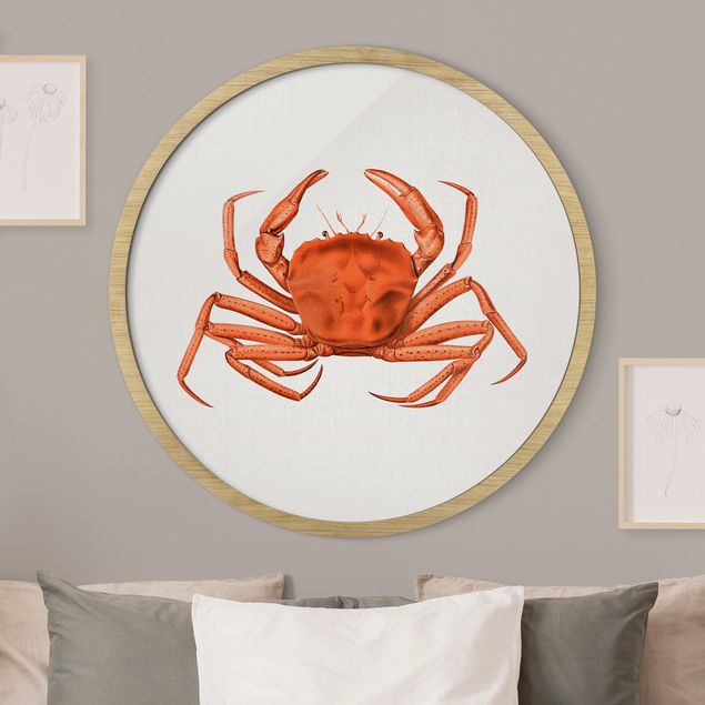 Wanddeko Wohnzimmer Vintage Illustration Rote Krabbe