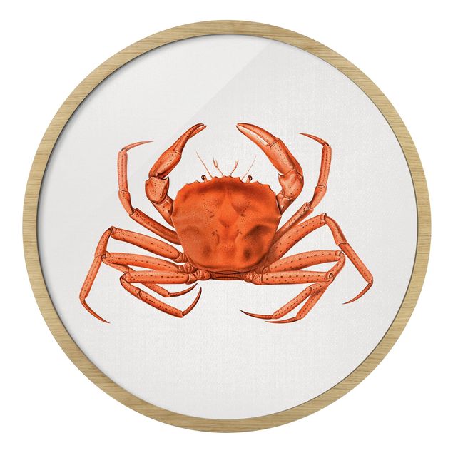 Wanddeko Flur Vintage Illustration Rote Krabbe