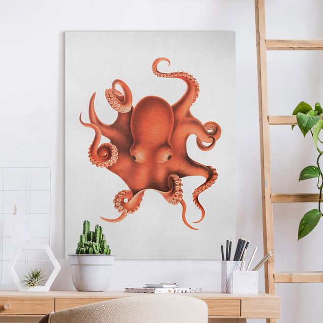 Leinwandbild Fisch Vintage Illustration Roter Oktopus