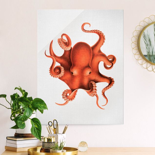 Wandbilder Fische Vintage Illustration Roter Oktopus