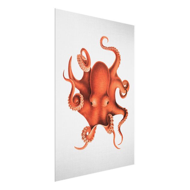 Wanddeko Büro Vintage Illustration Roter Oktopus