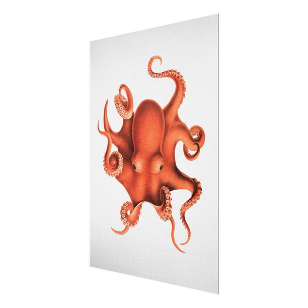 Wanddeko rot Vintage Illustration Roter Oktopus