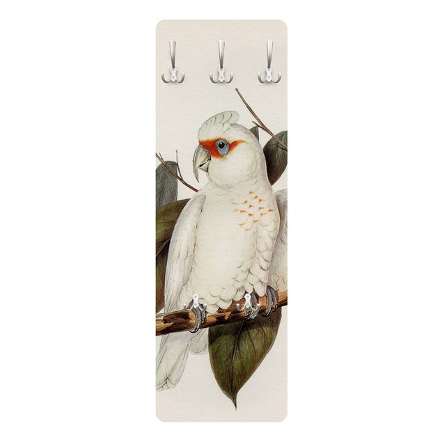 Wanddeko weiß Vintage Illustration Weißer Kakadu