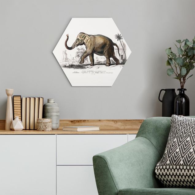 Wandbilder Elefanten Vintage Lehrtafel Elefant