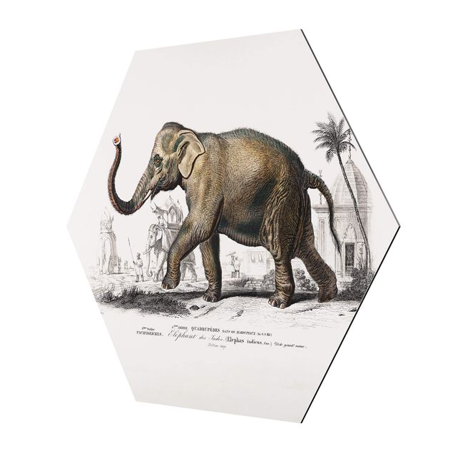 Wanddeko Treppenhaus Vintage Lehrtafel Elefant