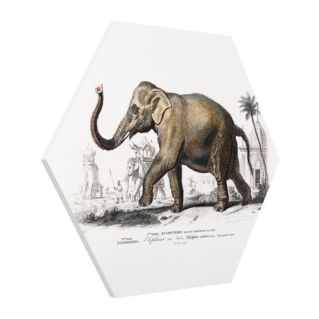 Wanddeko Flur Vintage Lehrtafel Elefant