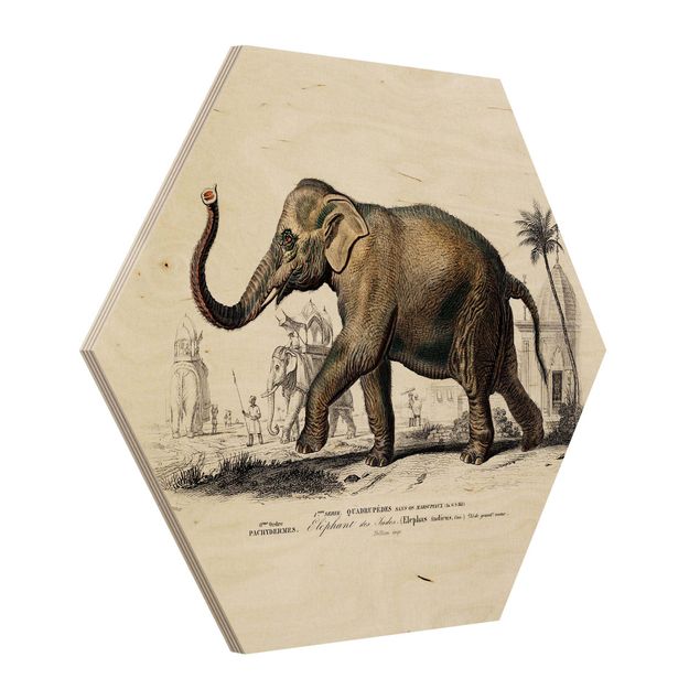Wanddeko Flur Vintage Lehrtafel Elefant