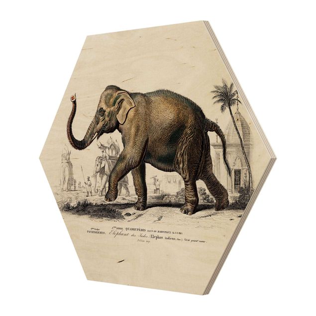 Wanddeko Treppenhaus Vintage Lehrtafel Elefant