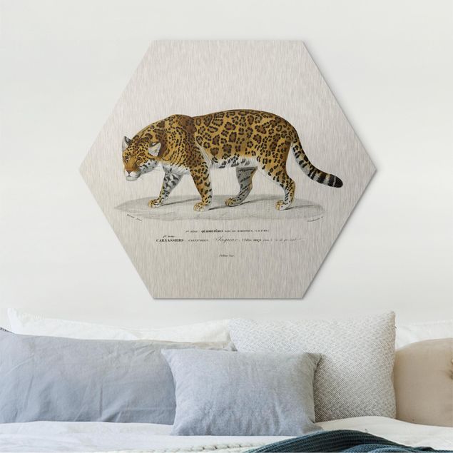 Wanddeko über Bett Vintage Lehrtafel Jaguar