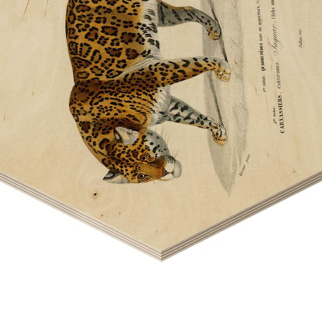 Wanddeko über Sofa Vintage Lehrtafel Jaguar