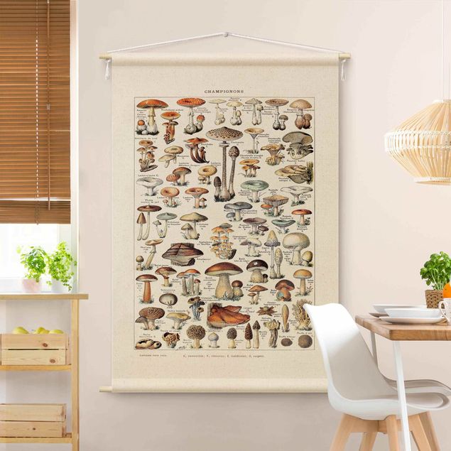 Wanddeko Esszimmer Vintage Lehrtafel Pilze