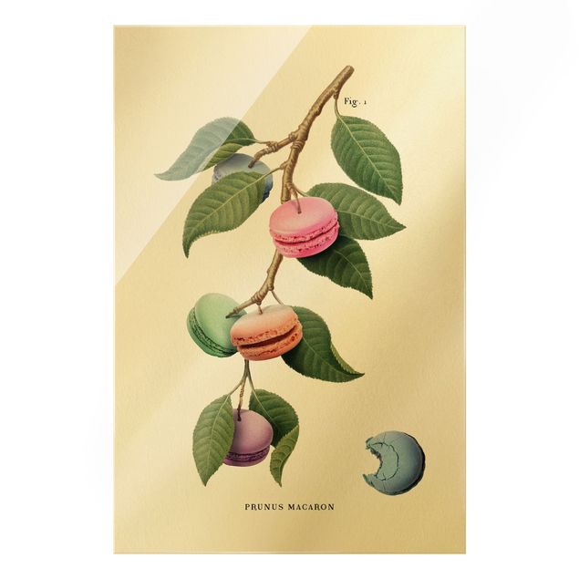 Wanddeko Büro Vintage Pflanze - Macaron