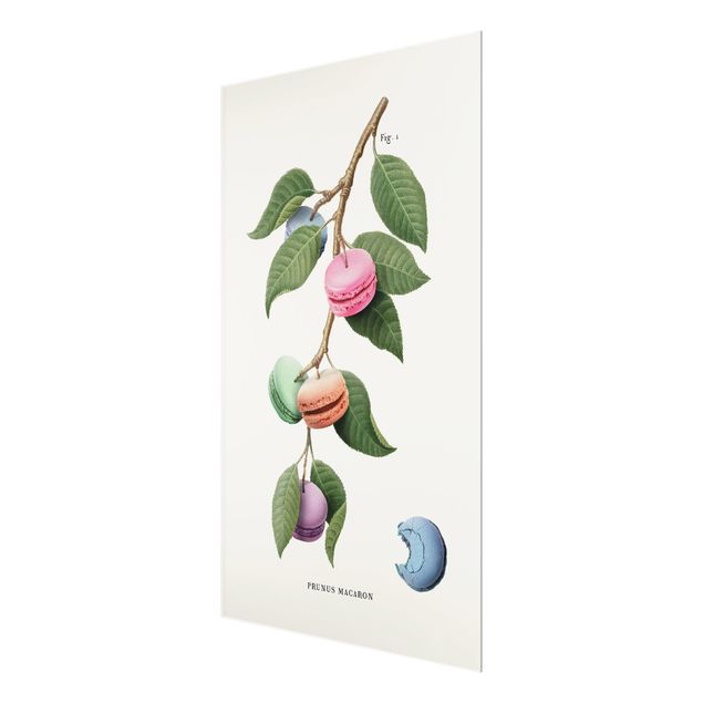 Wanddeko Pflanzen Vintage Pflanze - Macaron